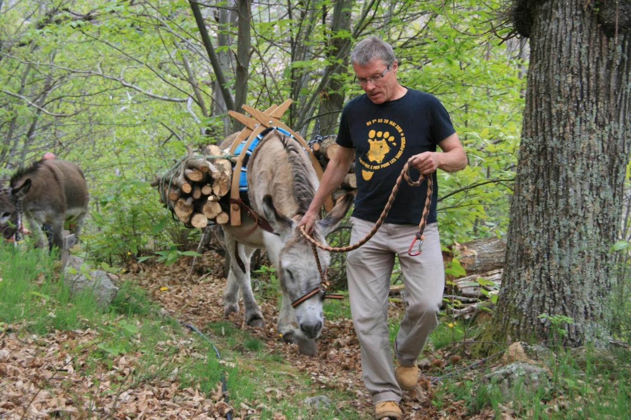 Gite De Chapeleche Les Chataigniers Gluiras Exteriér fotografie