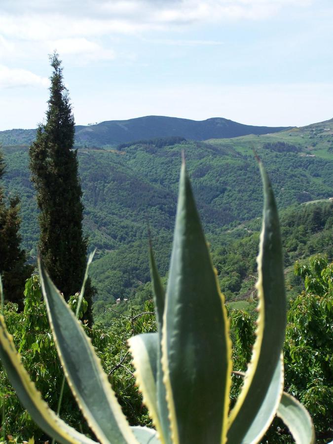 Gite De Chapeleche Les Chataigniers Gluiras Exteriér fotografie