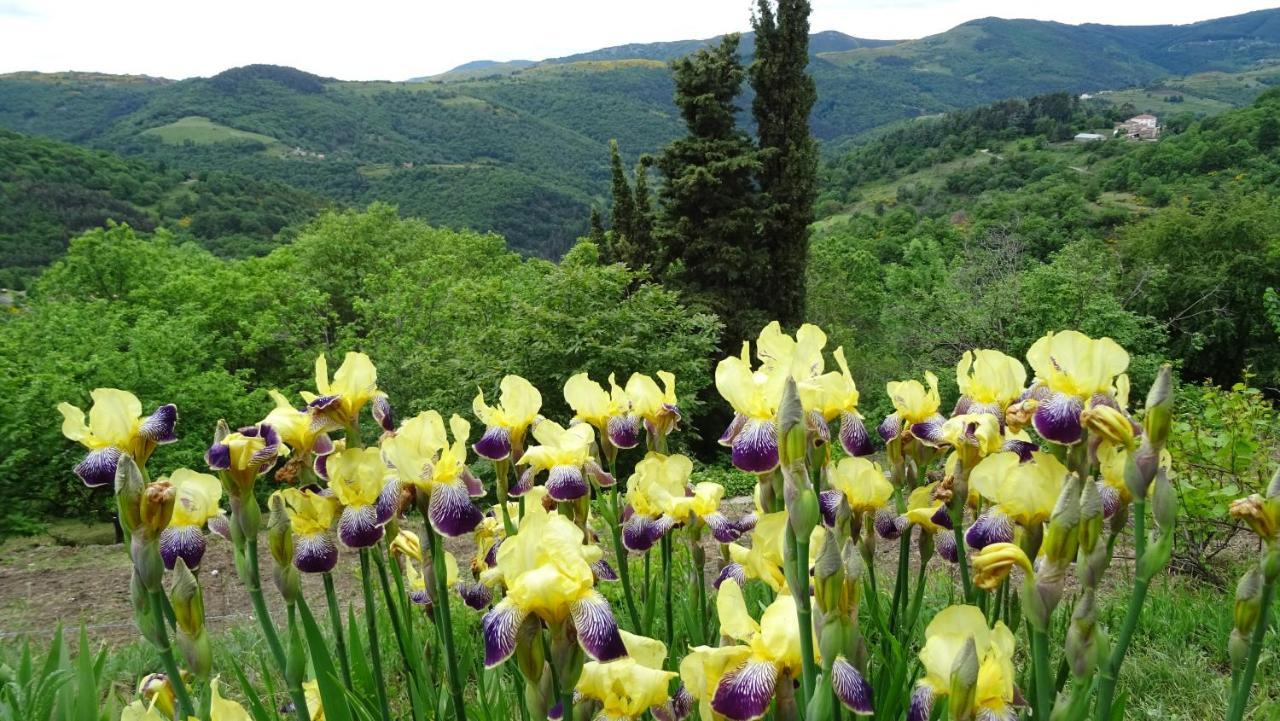 Gite De Chapeleche Les Chataigniers Gluiras Exteriér fotografie